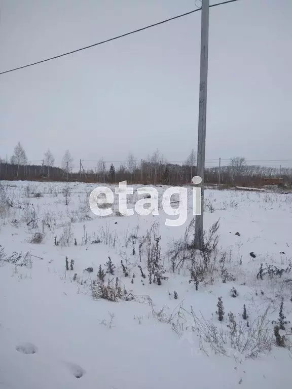 Участок в Тюменская область, Ишимский район, с. Гагарино  (15.02 сот.) - Фото 1