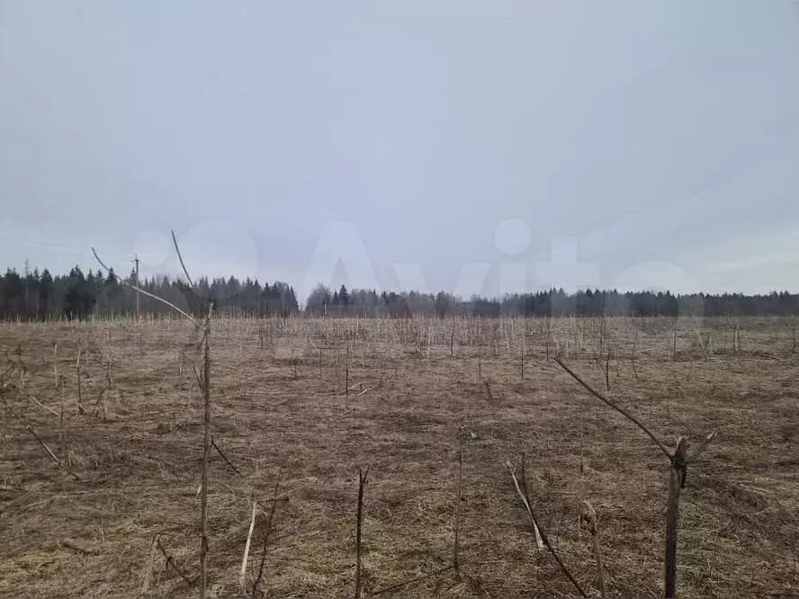Участок 10,8 сот. (ИЖС) - Фото 0