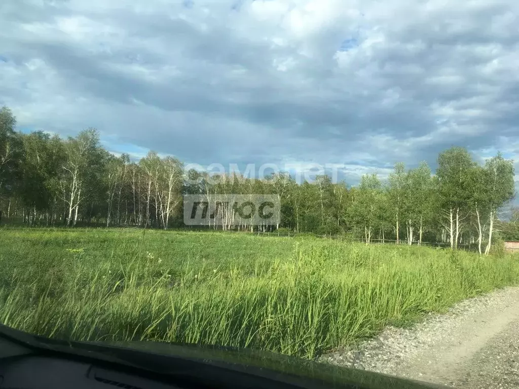 Участок в Тюменская область, Ялуторовский район, Березка СНТ  (15.0 ... - Фото 0