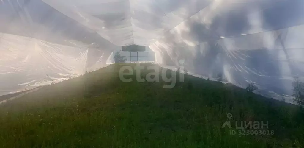 Дом в Тверская область, Рамешковский муниципальный округ, д. ... - Фото 2