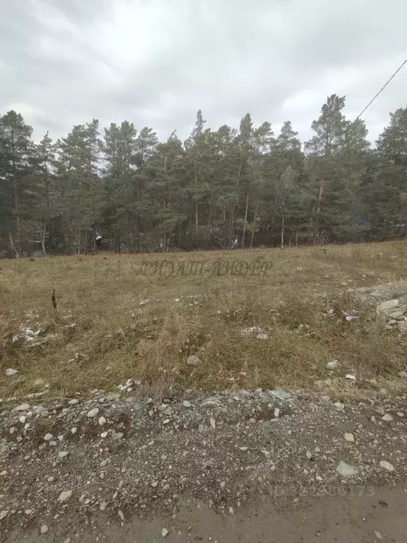 Участок в Алтай, Чемальский район, Элекмонарское с/пос, с. Элекмонар  ... - Фото 2