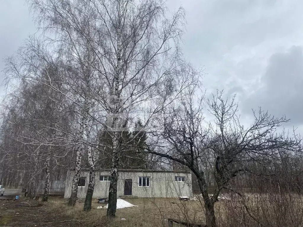 Склад в Курская область, Пристень муниципальное образование, Пристень ... - Фото 1