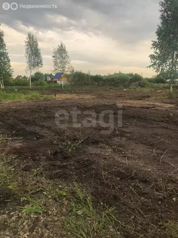 Участок в Толмачёвский сельсовет, СНТ Рябинка Обская (12 м) - Фото 1