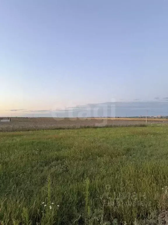 Участок в Курская область, Курский район, Моковский сельсовет, д. ... - Фото 2