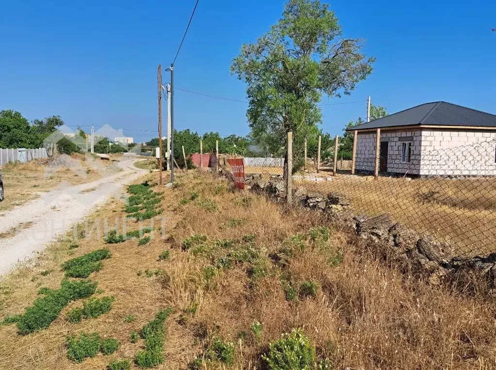 Участок в Крым, Черноморский район, с. Новосельское ул. Новая (8.0 ... - Фото 1