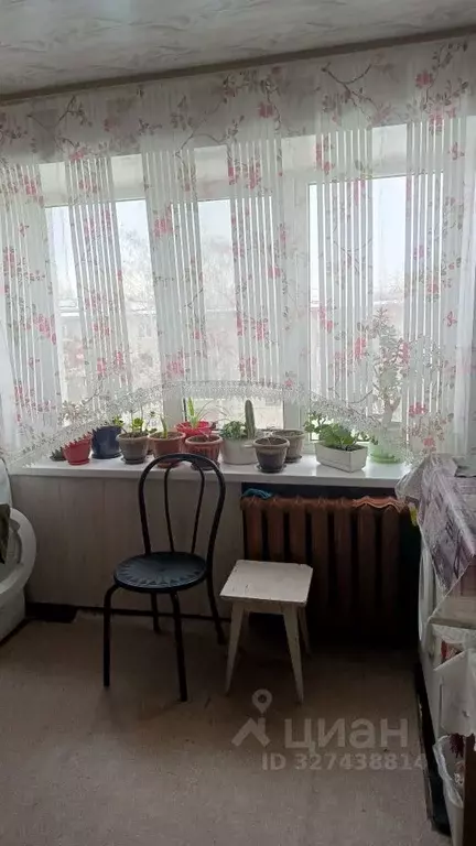 Комната Тамбовская область, Тамбов Советская ул., 165 (11.5 м) - Фото 1