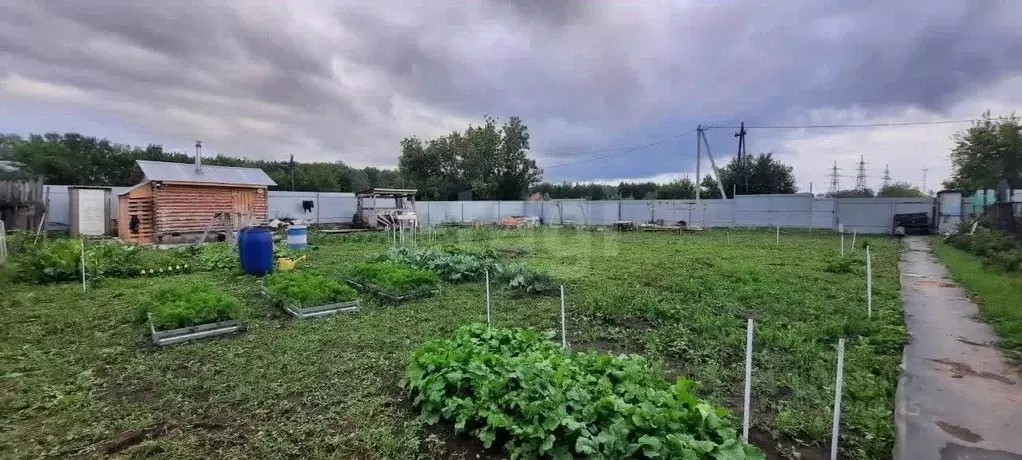 Участок в Тюменская область, Тюмень пос. Букино,  (5.15 сот.) - Фото 0