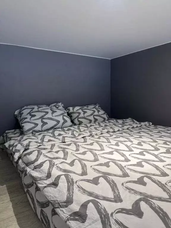 Студия Москва 2-й Амбулаторный проезд, 8С1 (20.0 м) - Фото 2