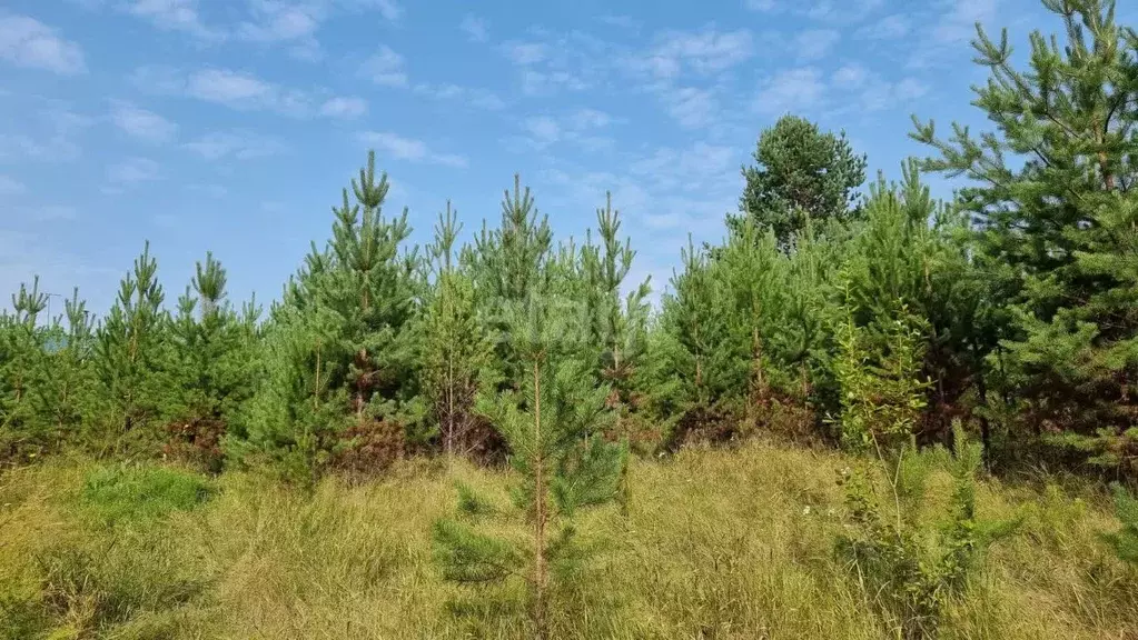 Участок в Иркутская область, Иркутский район, Марковское муниципальное ... - Фото 0