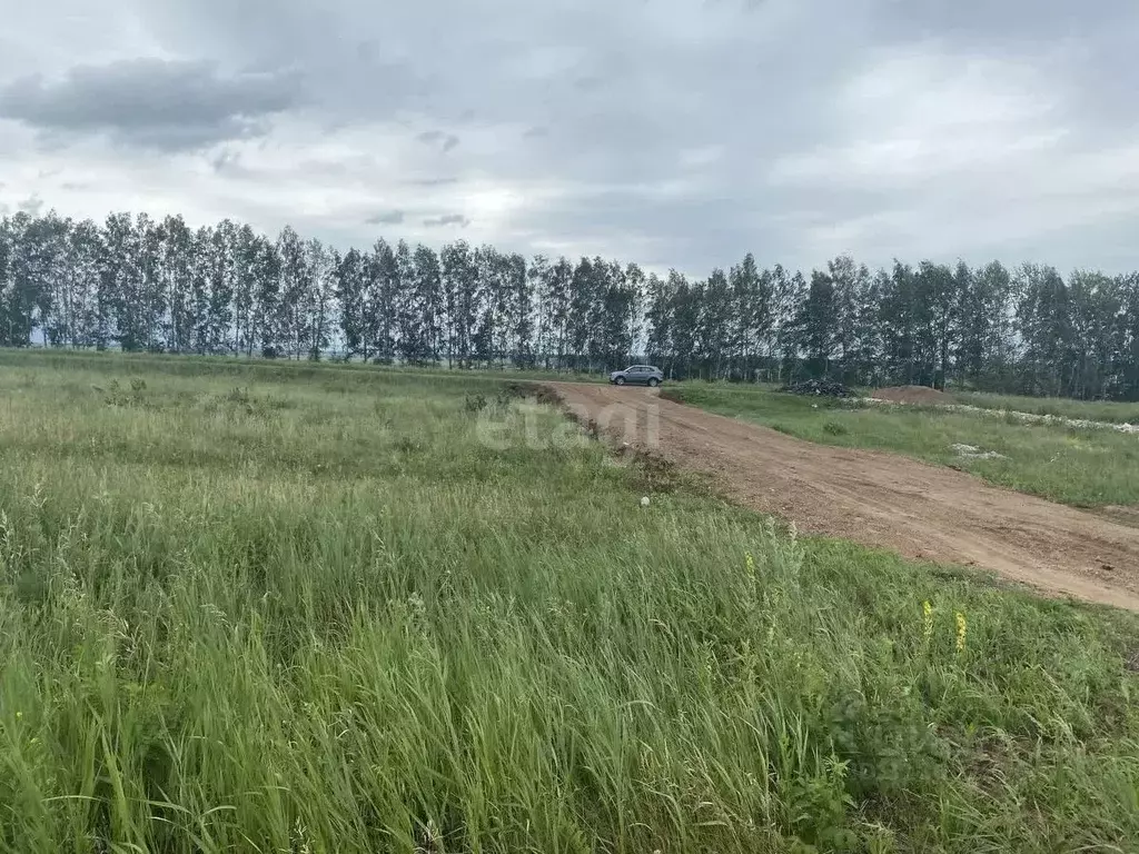 Участок в Башкортостан, Кармаскалинский район, Кабаковский сельсовет, ... - Фото 1