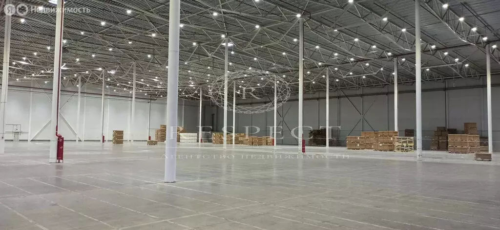 Склад (20000 м) - Фото 2