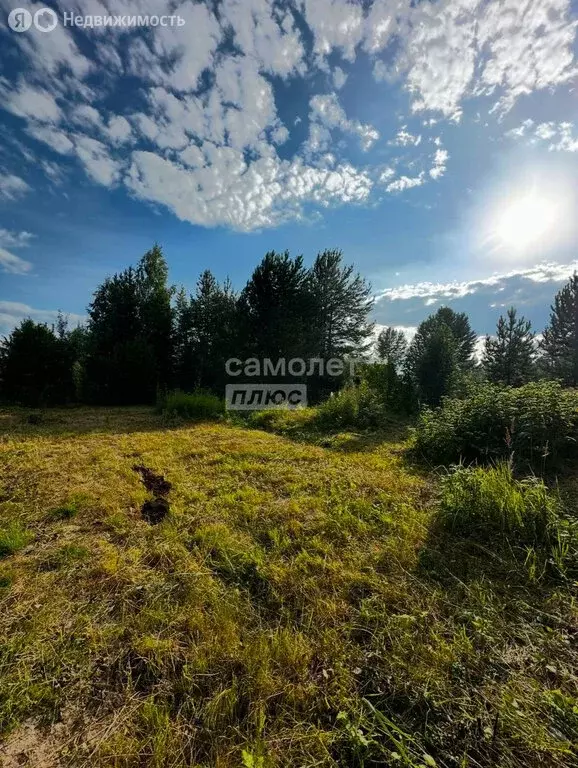 Участок в Республика Коми, муниципальный район Сыктывдинский, ... - Фото 2