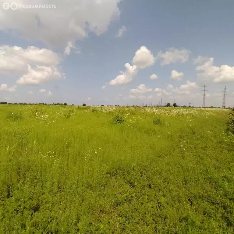 Участок в Владикавказ, улица Тельмана (6 м) - Фото 2