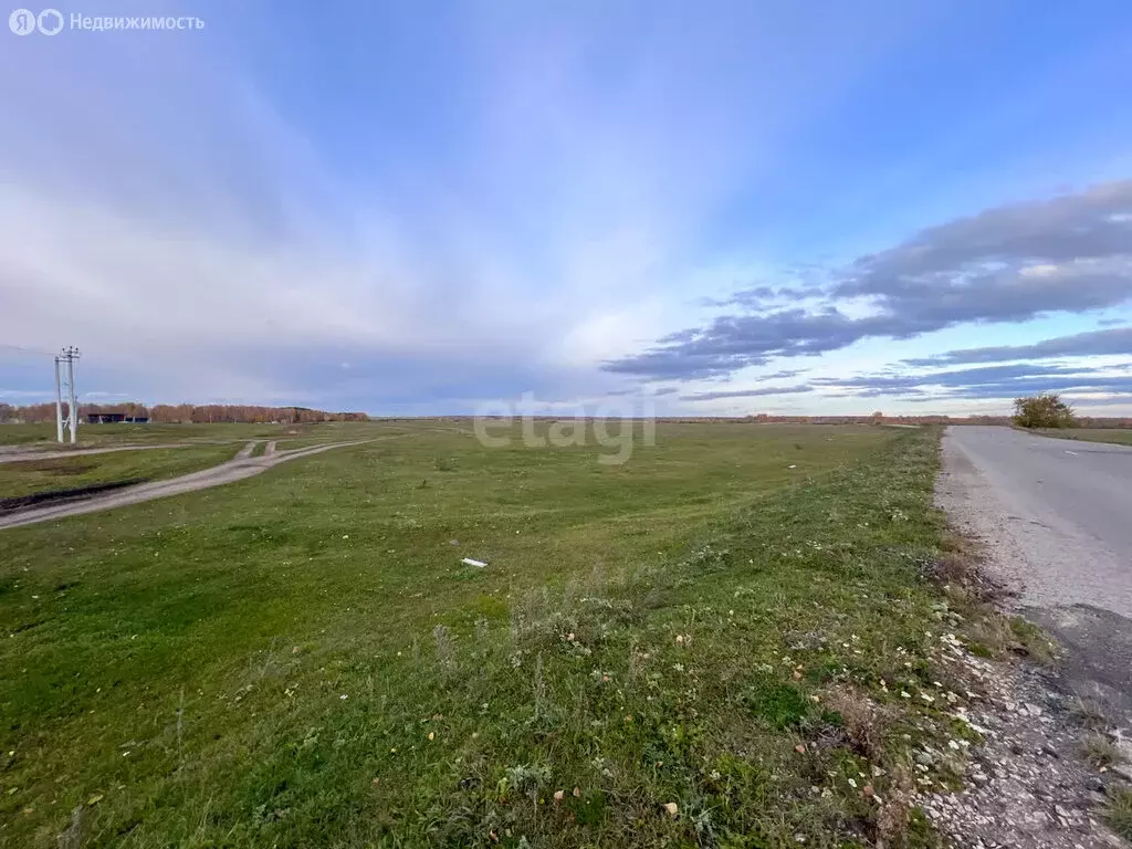 Участок в Аргаяшский район, Норкинское сельское поселение, деревня ... - Фото 1