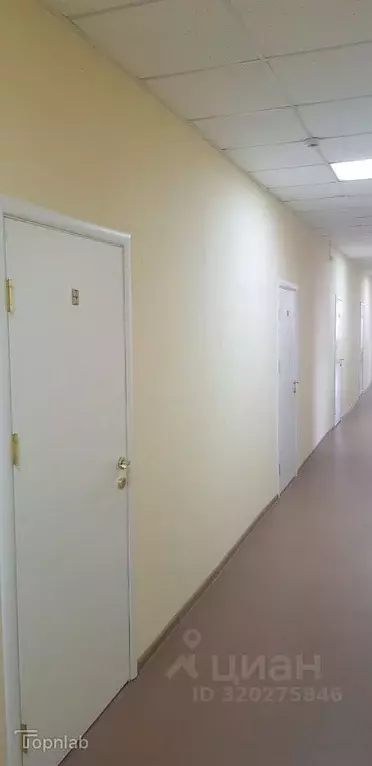Офис в Алтайский край, Барнаул Партизанская ул., 266 (18 м) - Фото 2