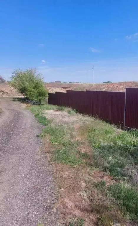 Участок в Волгоградская область, Дубовка ул. Имени Ломоносова, 12А ... - Фото 1