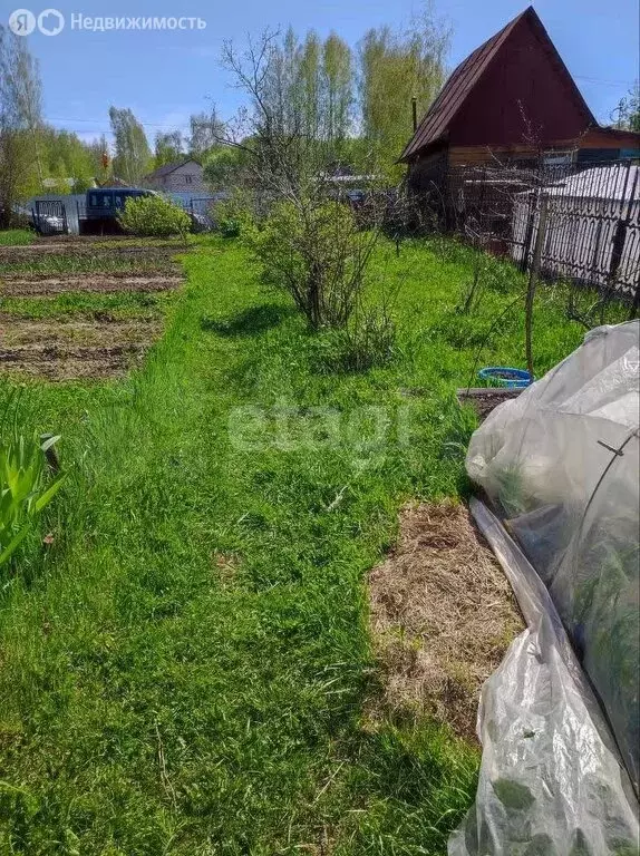 Участок в Новосибирск, НСТ Ветеран квартал I-II, Солнечная улица (7 м) - Фото 1