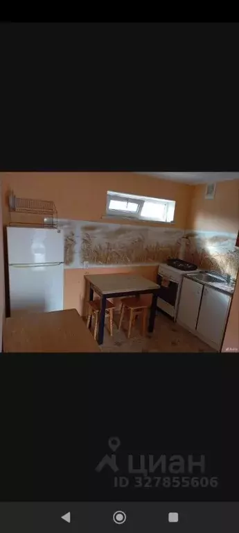 1-к кв. Севастополь ул. Танкистов, 49Г (20.0 м) - Фото 1