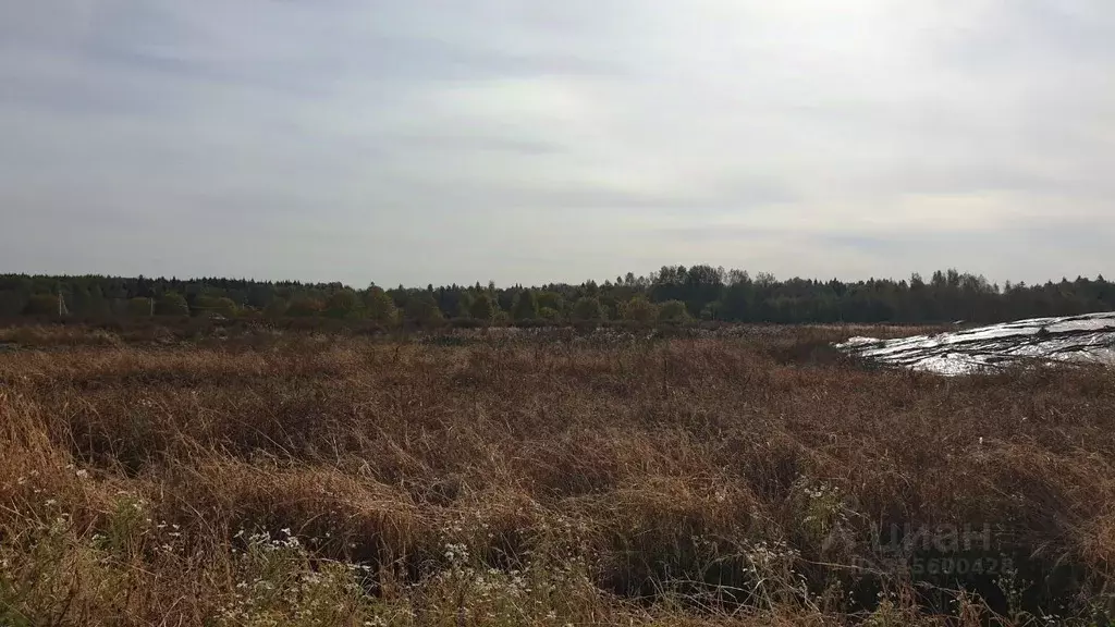 Участок в Московская область, Сергиево-Посадский городской округ, д. ... - Фото 1