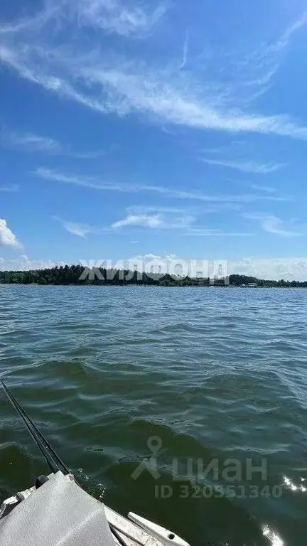 Участок в Новосибирская область, Ордынский район, с. Новопичугово ... - Фото 0