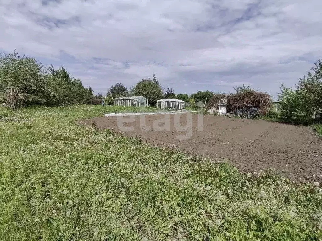Участок в Брянская область, Брянск Надежда садоводческое товарищество, ... - Фото 1