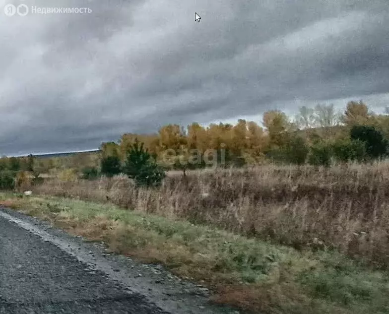 Участок в Майминский район, село Подгорное, Магистральная улица (8 м) - Фото 1