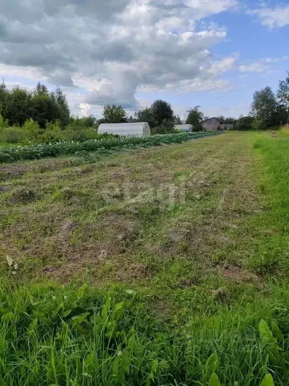 Участок в Ярославская область, Ярославский муниципальный округ, д. ... - Фото 0
