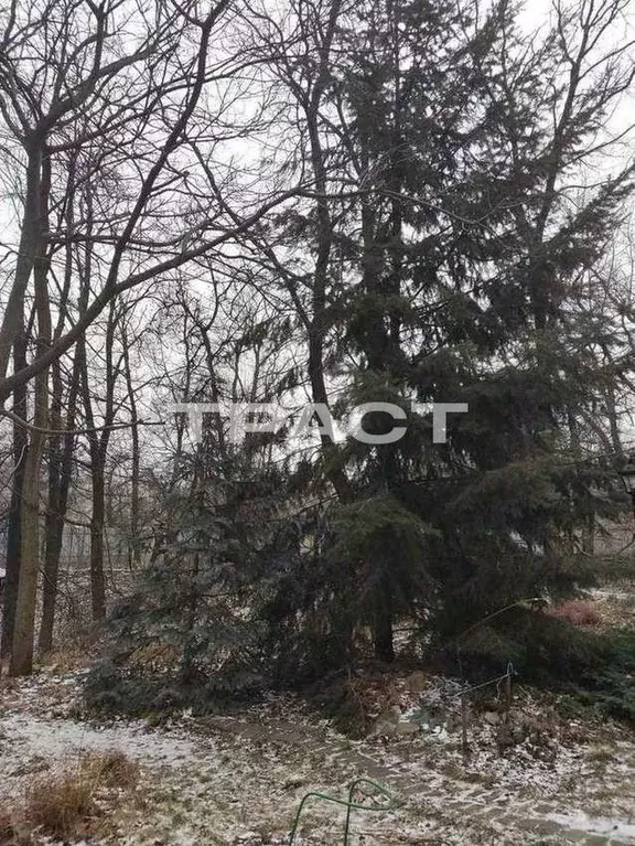 Дом в Воронежская область, Воронеж Курортная ул., 49 (100 м) - Фото 2