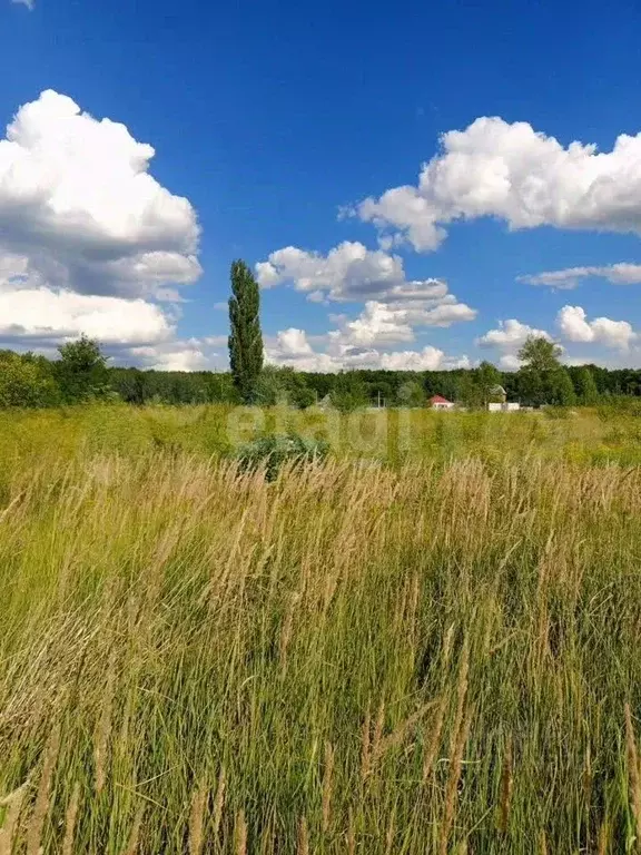 Участок в Воронежская область, с. Новая Усмань  (9.0 сот.) - Фото 0