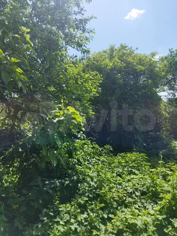 Участок 15 сот. (СНТ, ДНП) - Фото 1