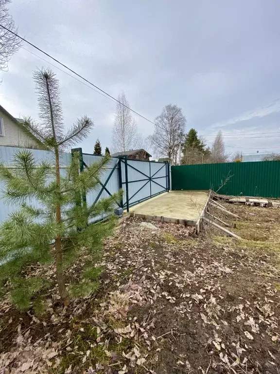 Участок в Санкт-Петербург Дружный-1 СНТ, 7-я линия (5.83 сот.) - Фото 1