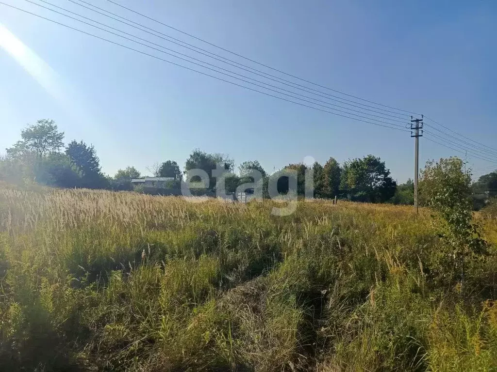 Участок в Тульская область, Щекинский район, Ломинцевское с/пос, с. ... - Фото 1