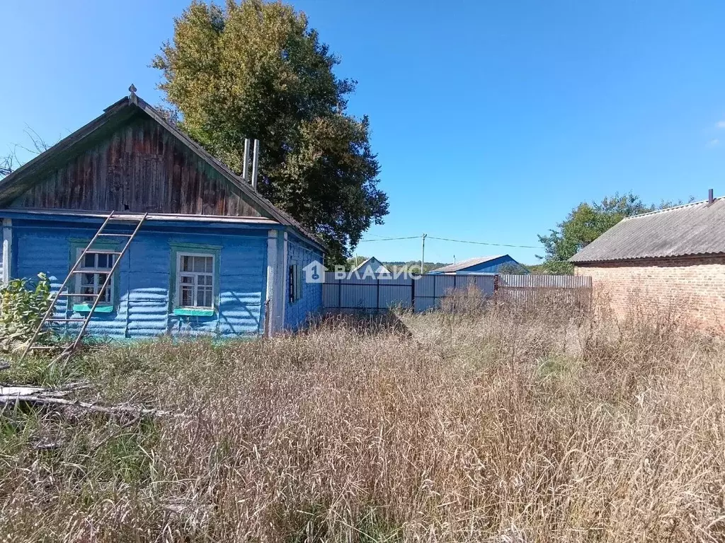 Дом в Белгородская область, Корочанский муниципальный округ, с. ... - Фото 1