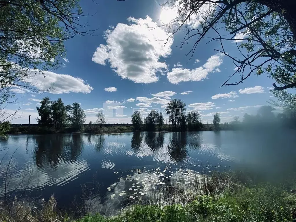 Участок в Новосибирская область, Новосибирский район, Кудряшовский ... - Фото 0