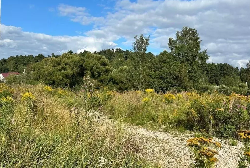 Участок в Московская область, Лосино-Петровский городской округ, д. ... - Фото 1