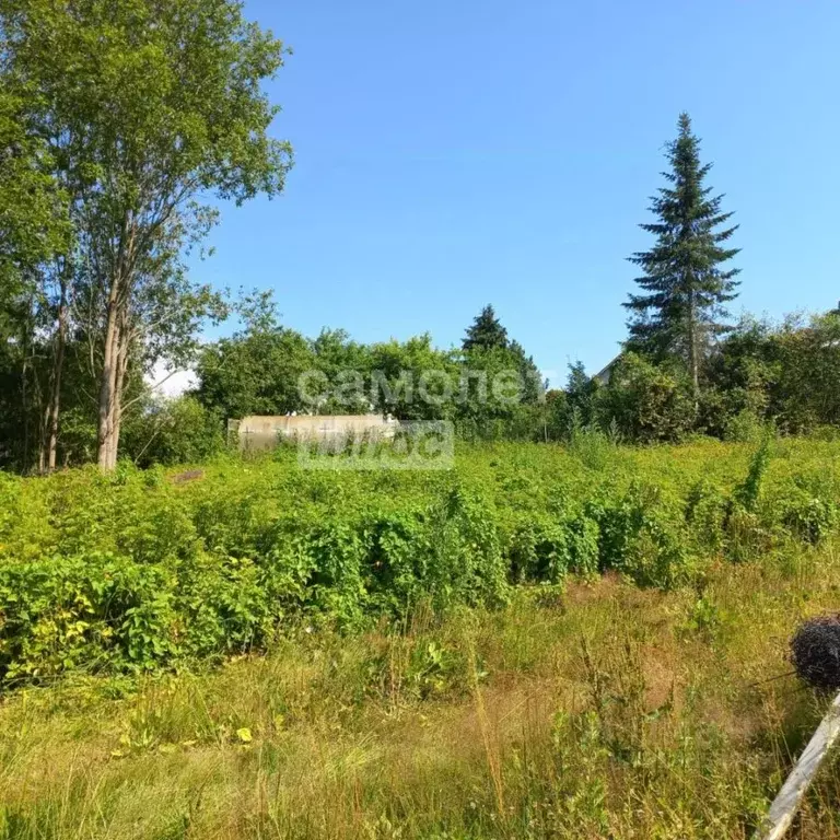 Участок в Ленинградская область, Тосненский район, Шапкинское с/пос, ... - Фото 1