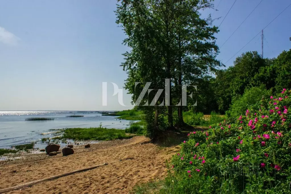 Участок в Санкт-Петербург Соловьиная ул., 3 (24.0 сот.) - Фото 1