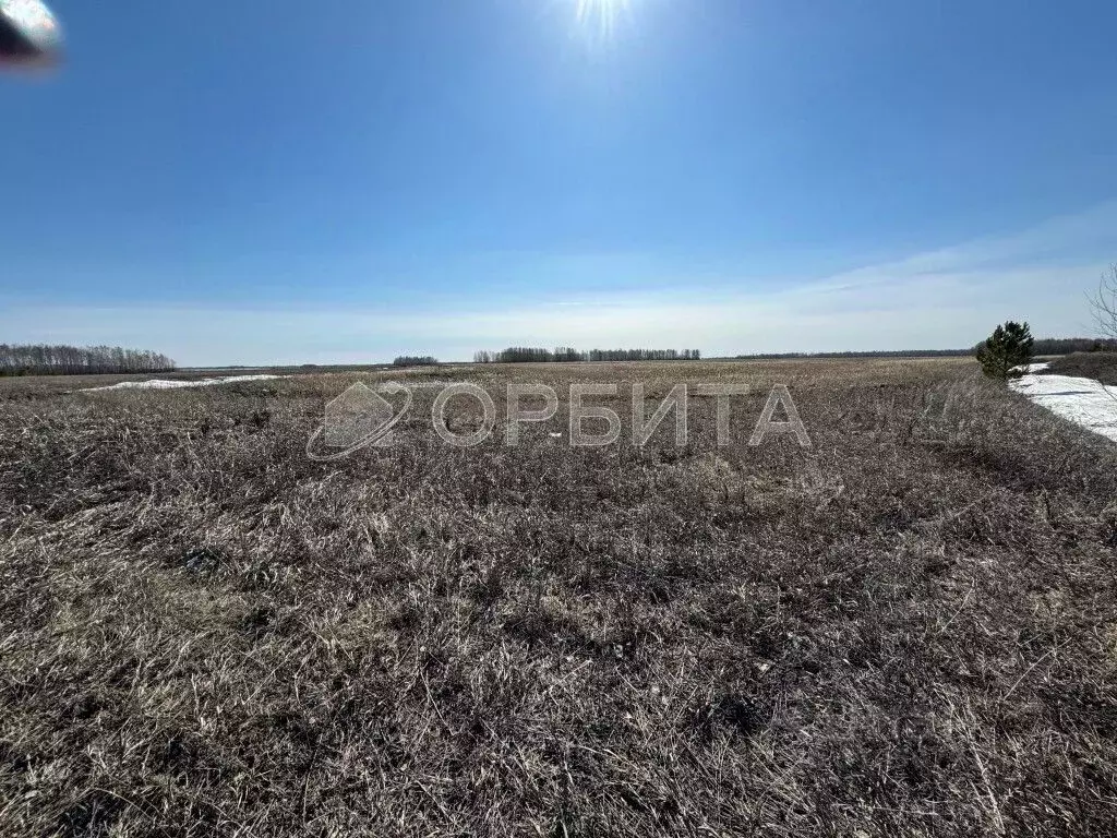 Участок в Тюменская область, Тюменский район, с. Каменка  (615.29 ... - Фото 1
