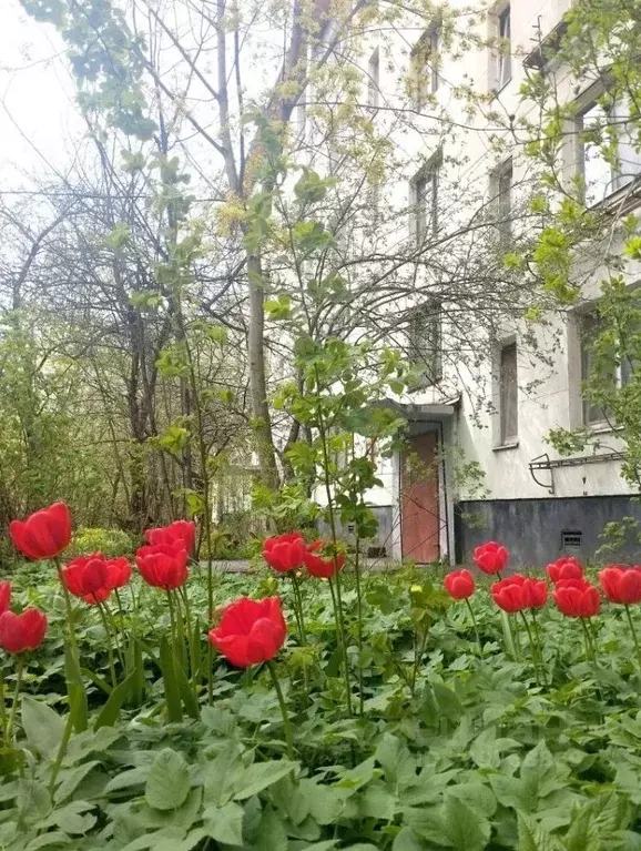 3-к кв. Санкт-Петербург ул. Зины Портновой, 50 (41.7 м) - Фото 1