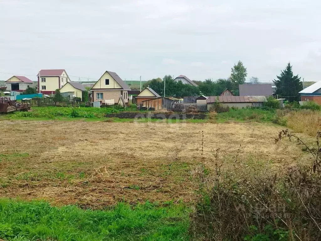 Участок в Алтайский край, Алтайский район, с. Старобелокуриха Новый ... - Фото 0