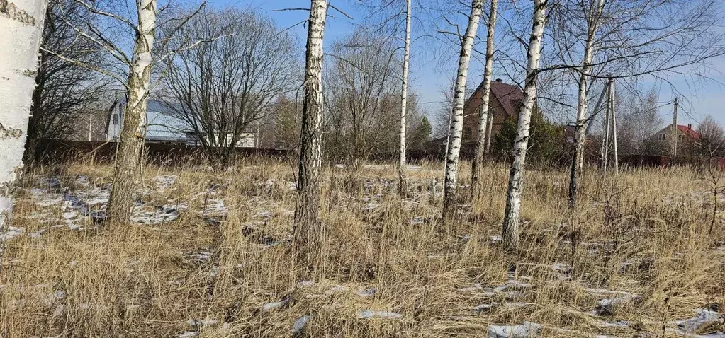 Участок в Московская область, Луховицы  (12.0 сот.) - Фото 1