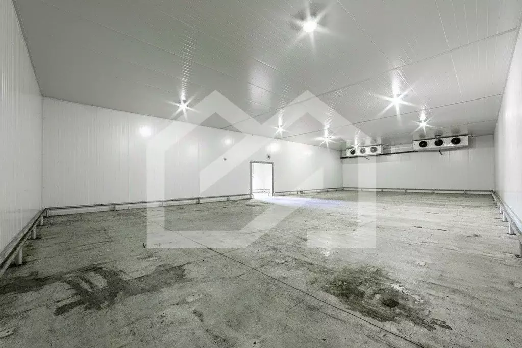 Производственное помещение в Московская область, Раменское ул. ... - Фото 1