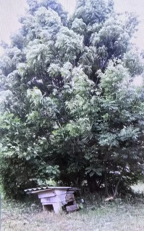 Дом в Калужская область, Калуга Московский округ,  (81 м) - Фото 1