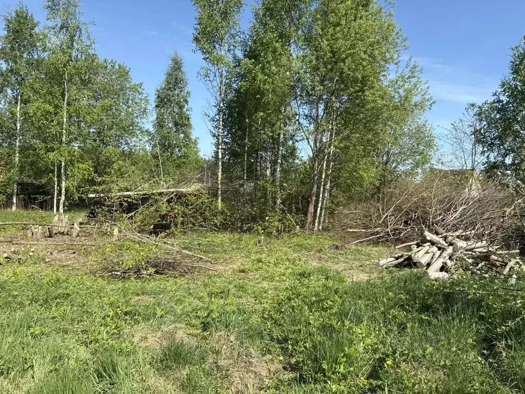 Участок в Санкт-Петербург пос. Стрельна, ул. Новые Заводы, 3 (12.0 ... - Фото 1