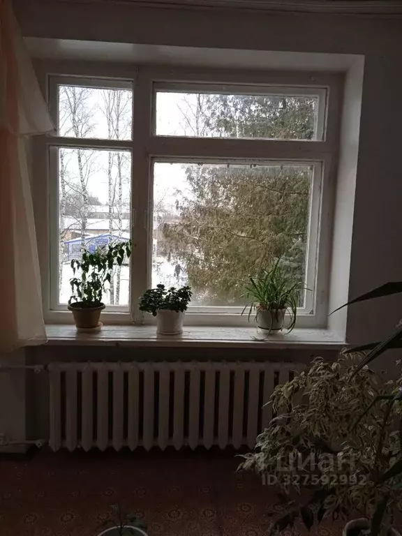 Помещение свободного назначения в Кировская область, Уни пгт ул. ... - Фото 1