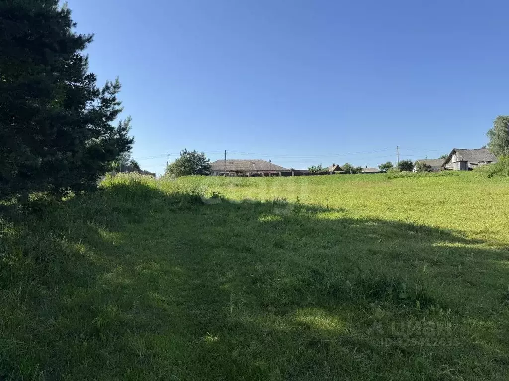 Участок в Смоленская область, Смоленский муниципальный округ, д. ... - Фото 2