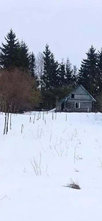 Участок в Псковская область, Псковский район, Тямшанская волость, д. ... - Фото 0