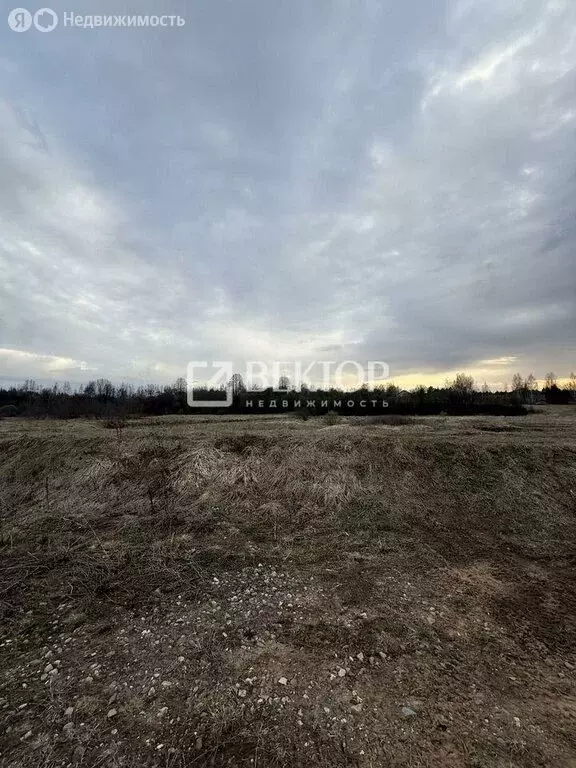 Участок в Иваново, Революционная улица (8 м) - Фото 2