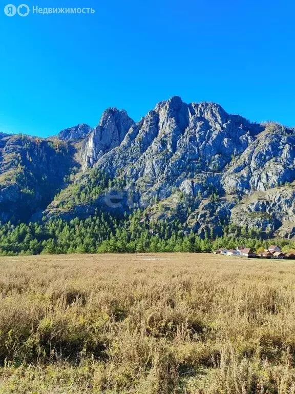 Участок в Чемальский район, село Еланда (11.9 м) - Фото 0