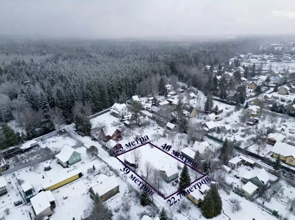 Участок в Ленинградская область, Всеволожский район, Лесколовское ... - Фото 2